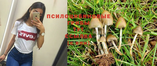 MDMA Premium VHQ Абаза