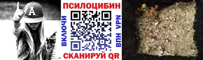 закладка Магадан Псилоцибиновые грибы GOLDEN TEACHER